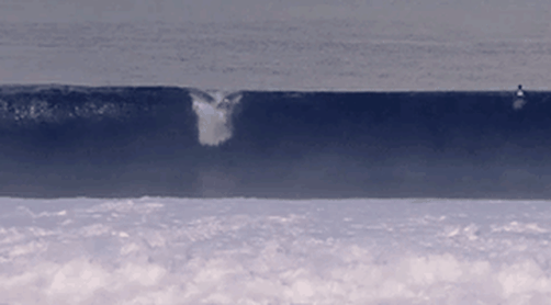 Professional surfer pop-up demonstration